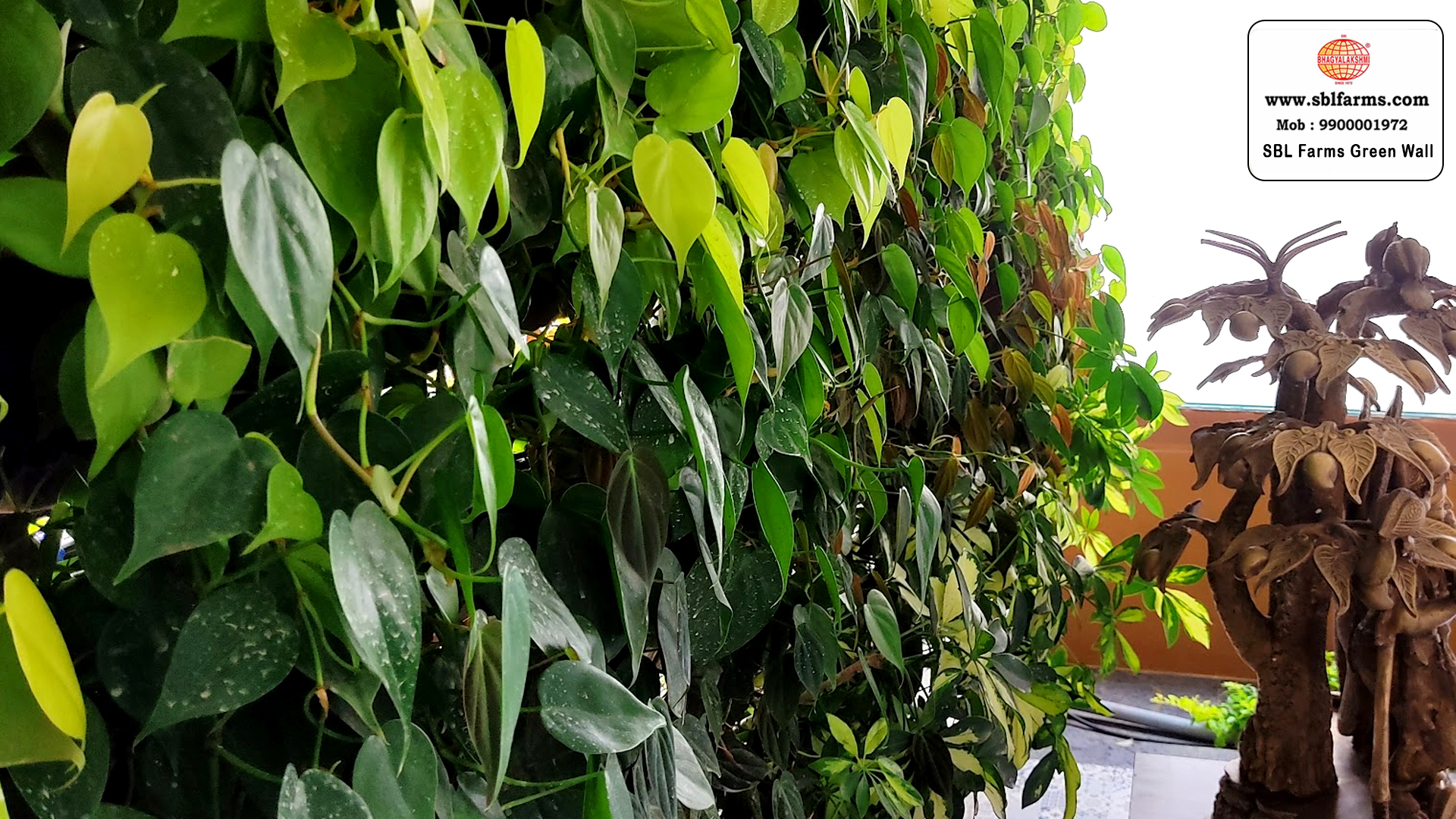 Sbl Farms Green walls and Living walls, Vertical Garden, Bio Curtains, Green wall or vertical garden  for Residence and hotel and resturent in bangalore